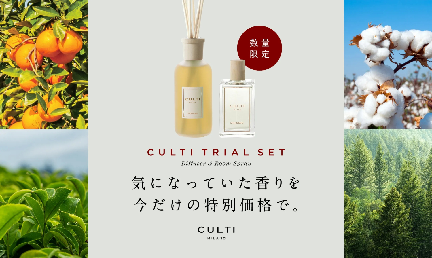 【数量限定】CULTI トライアルセット