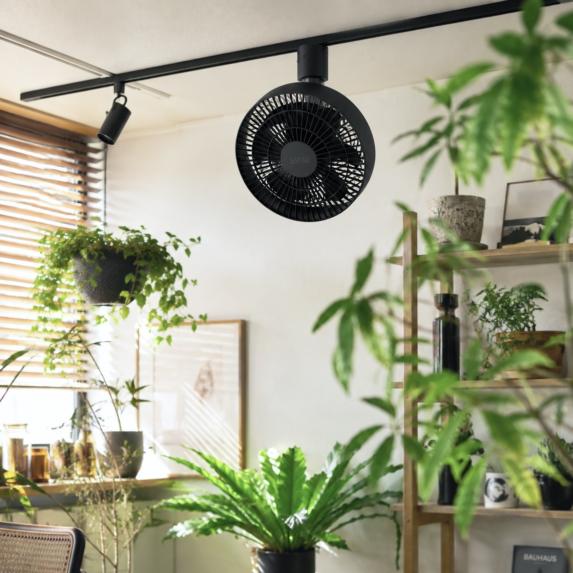 植物と暮らす空間に心地よい風を