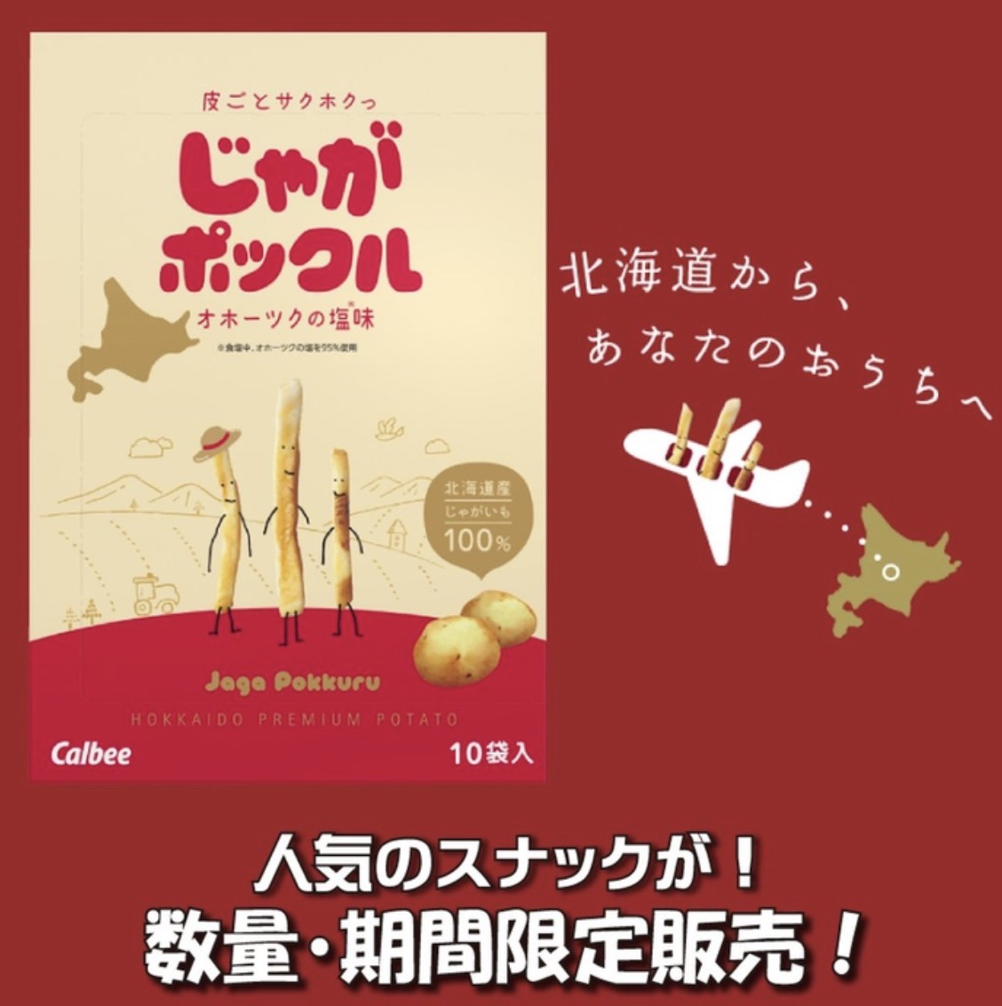 じゃがポックル入荷！！