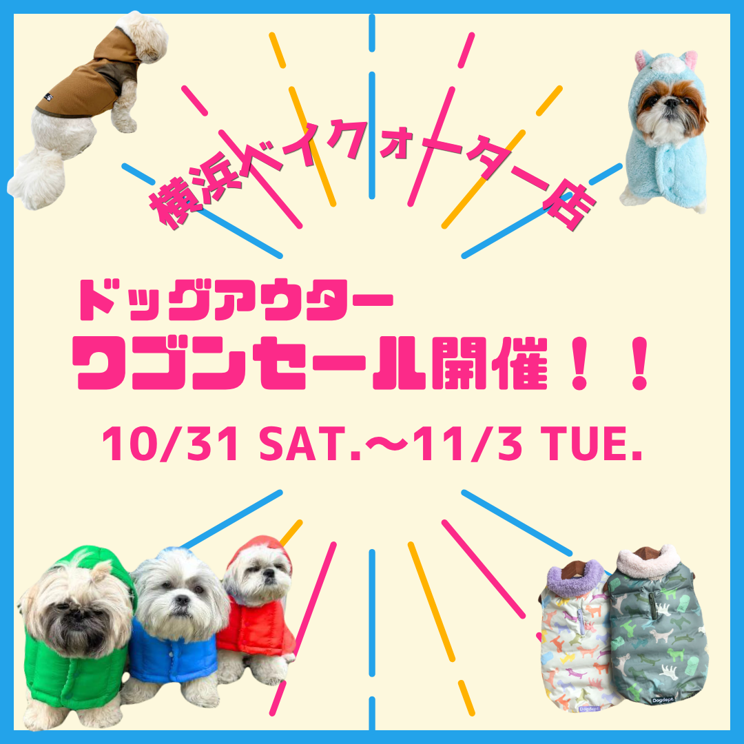 【ドッグアウターセール】最大50％offわんちゃん用アウター大集合